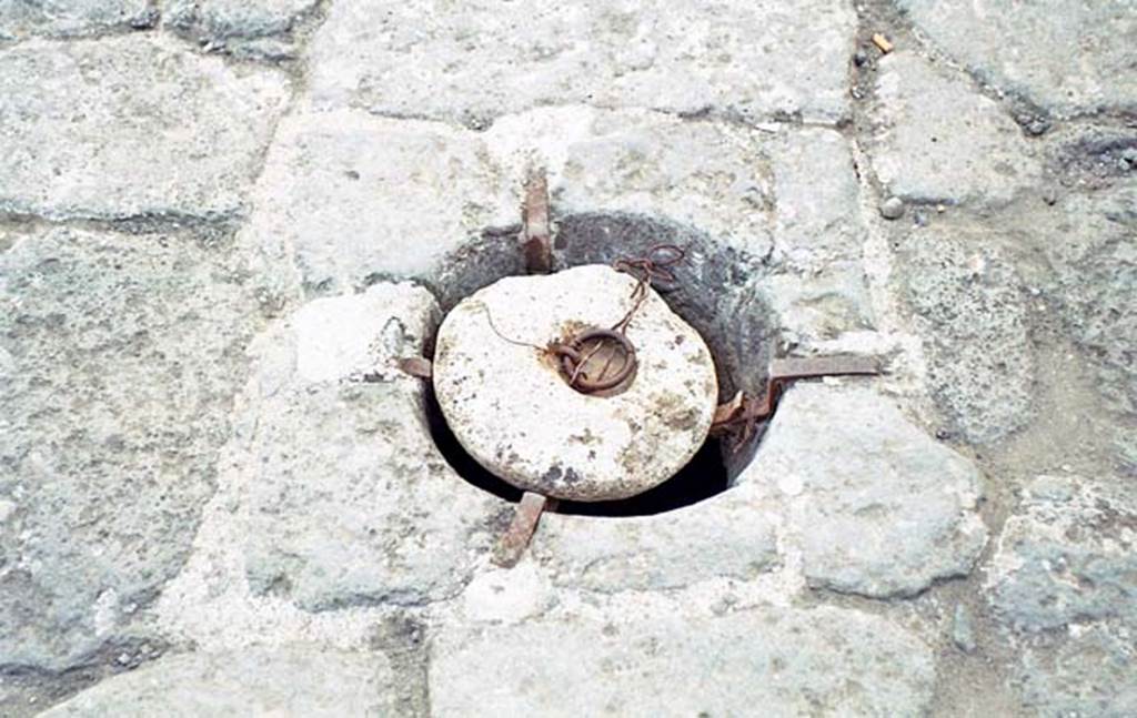 Cardo III, Herculaneum. October 2001. Drain in road. Photo courtesy of Peter Woods.